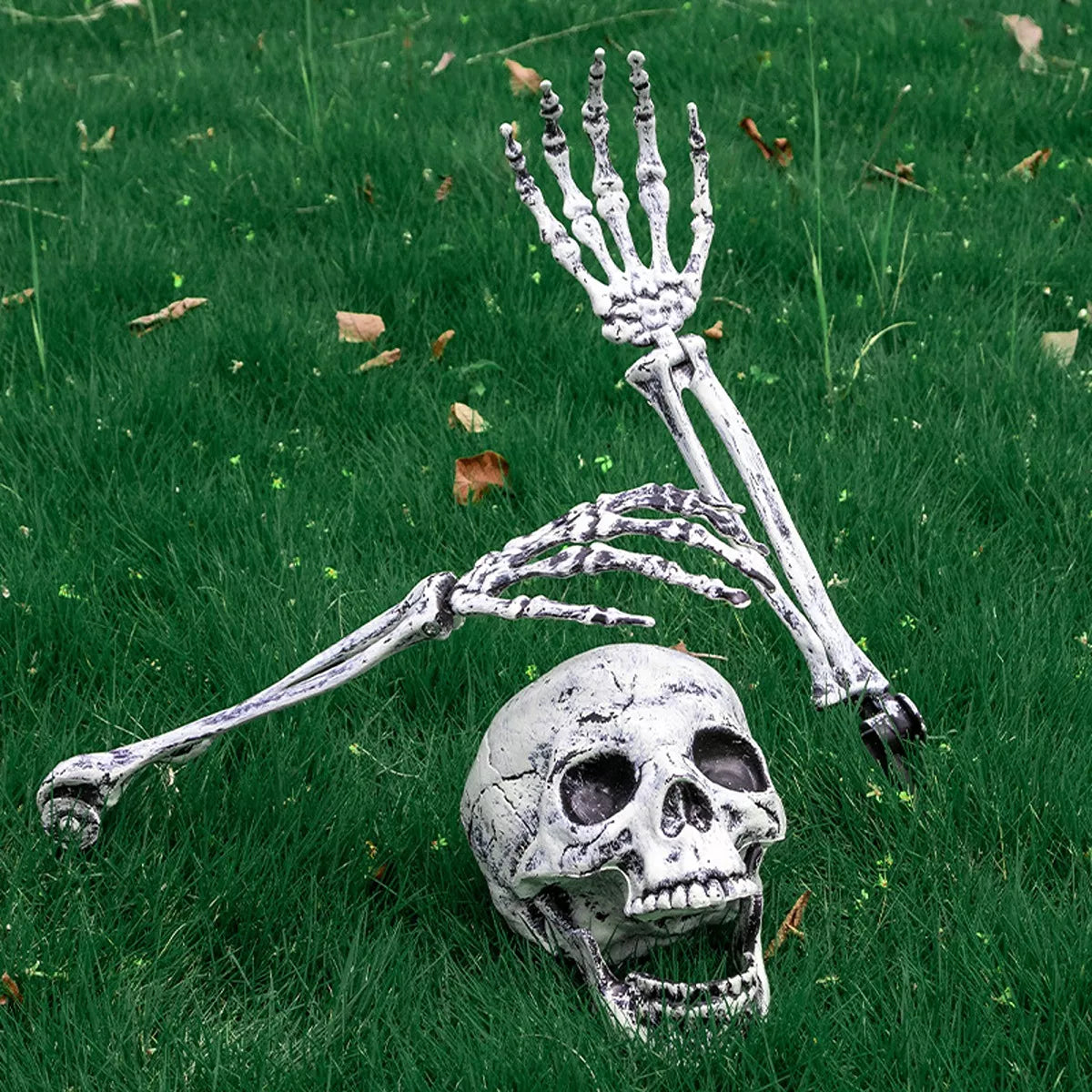 bec2a455-32a6-4e6c-8367-eece3610baba-Max-Origin